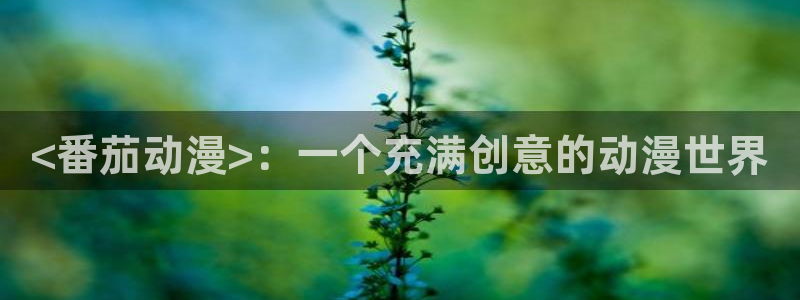 里番肉番动漫在线：<番茄动漫>：一个充满创意的动漫世界