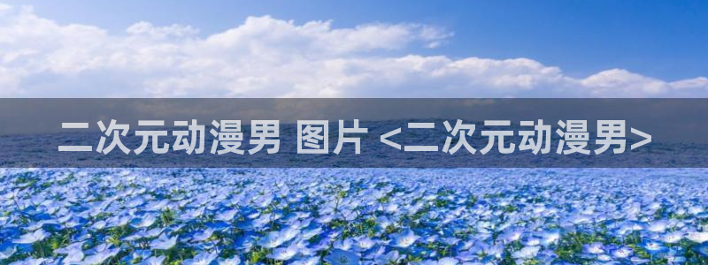 3d动漫里番动漫：二次元动漫男 图片 <二次元动漫男>