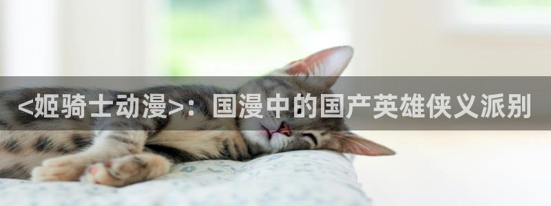 h动漫里番在线观看：<姬骑士动漫>：国漫中的国产英雄侠义派别