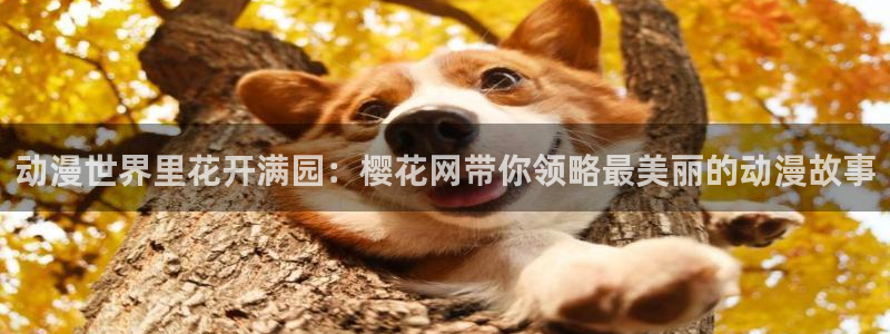 动漫里番肉番：动漫世界里花开满园：樱花网带你领略最美丽的动漫故事