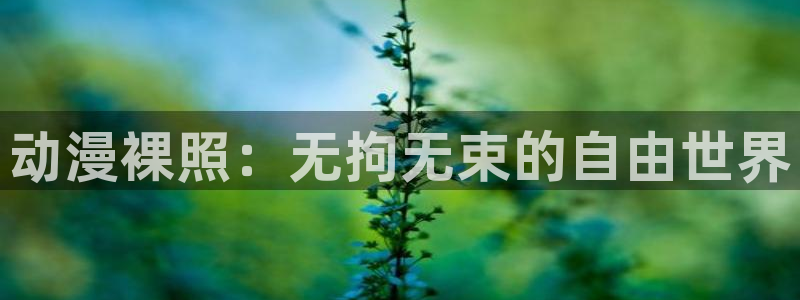 里番动漫介绍：动漫裸照：无拘无束的自由世界