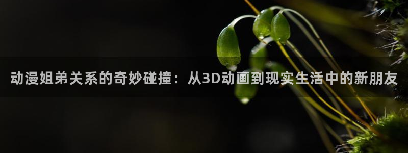 里番动漫网站推荐：动漫姐弟关系的奇妙碰撞：从3D动画到现实生活中的新朋友