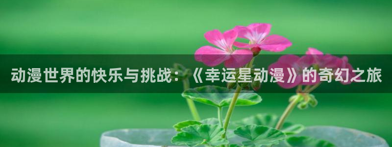 2020年一月动漫里番：动漫世界的快乐与挑战：《幸运星动漫》的奇幻之旅