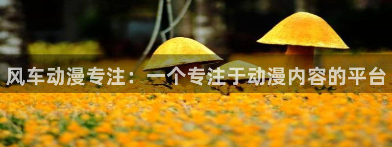 第一动漫里番：风车动漫专注：一个专注于动漫内容的平台