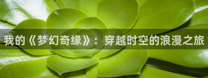 里番触手漫画：我的《梦幻奇缘》：穿越时空的浪漫之旅