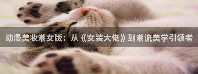 3d 里番动漫在线观看