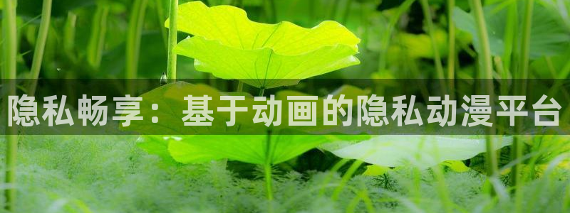 里番3d动漫在线观看