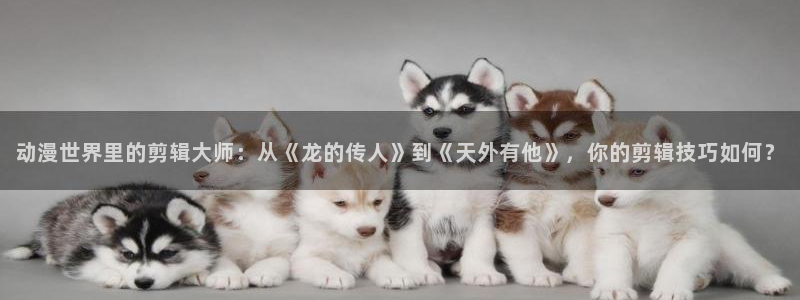里番动漫网站在线