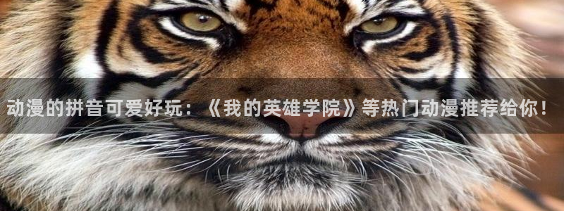 动漫里番推荐网站