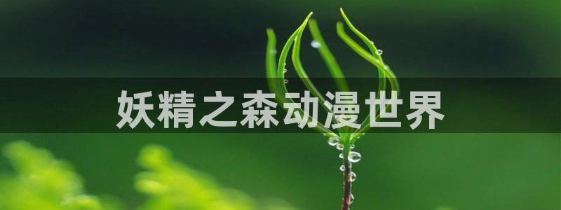 可以看里番的动漫网