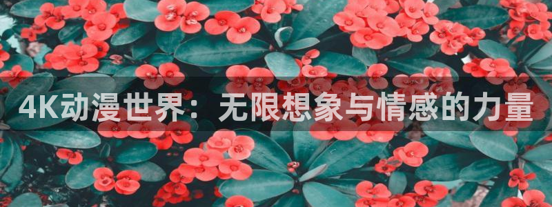 里番大全