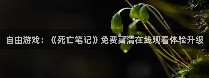 里番动漫播放