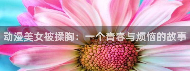 里番漫画免费观看