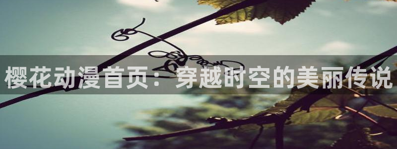 动漫里番番号