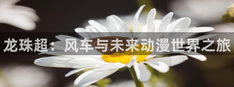 里番漫画软件