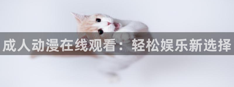 里番.