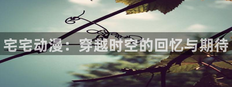 里番动漫是什么：宅宅动漫：穿越时空的回忆与期待