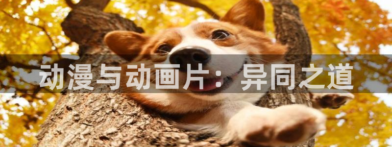 里番动漫在线播放网站：动漫与动画片：异同之道