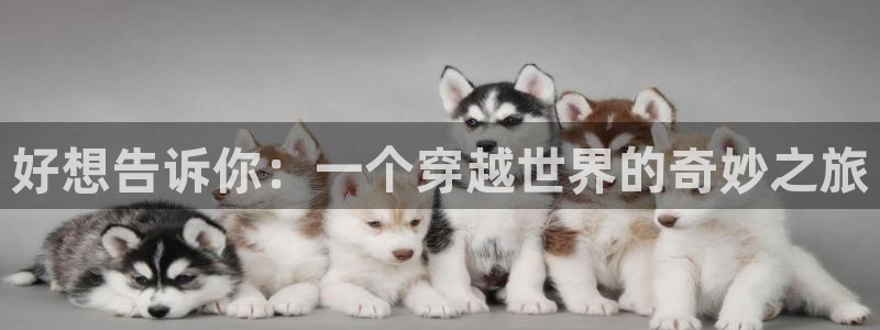 穿越里番动漫：好想告诉你：一个穿越世界的奇妙之旅