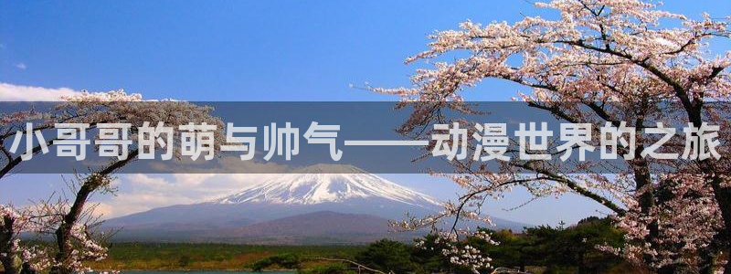 里番动漫在线：小哥哥的萌与帅气——动漫世界的之旅