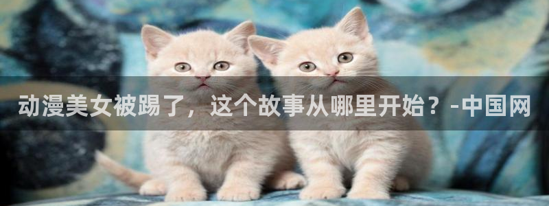 旧里番动漫网：动漫美女被踢了，这个故事从哪里开始？-中国网
